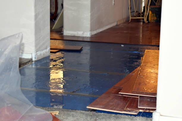 Professional Water Damage Restoration technician working in Clayton, GA